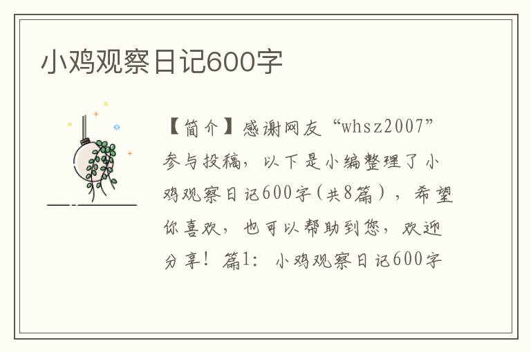 小鸡观察日记600字